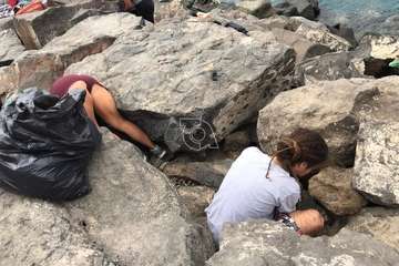 Limpieza de la escollera sur del muelle de Taliarte (Foto Pedro Martel/Wendy Cruz)